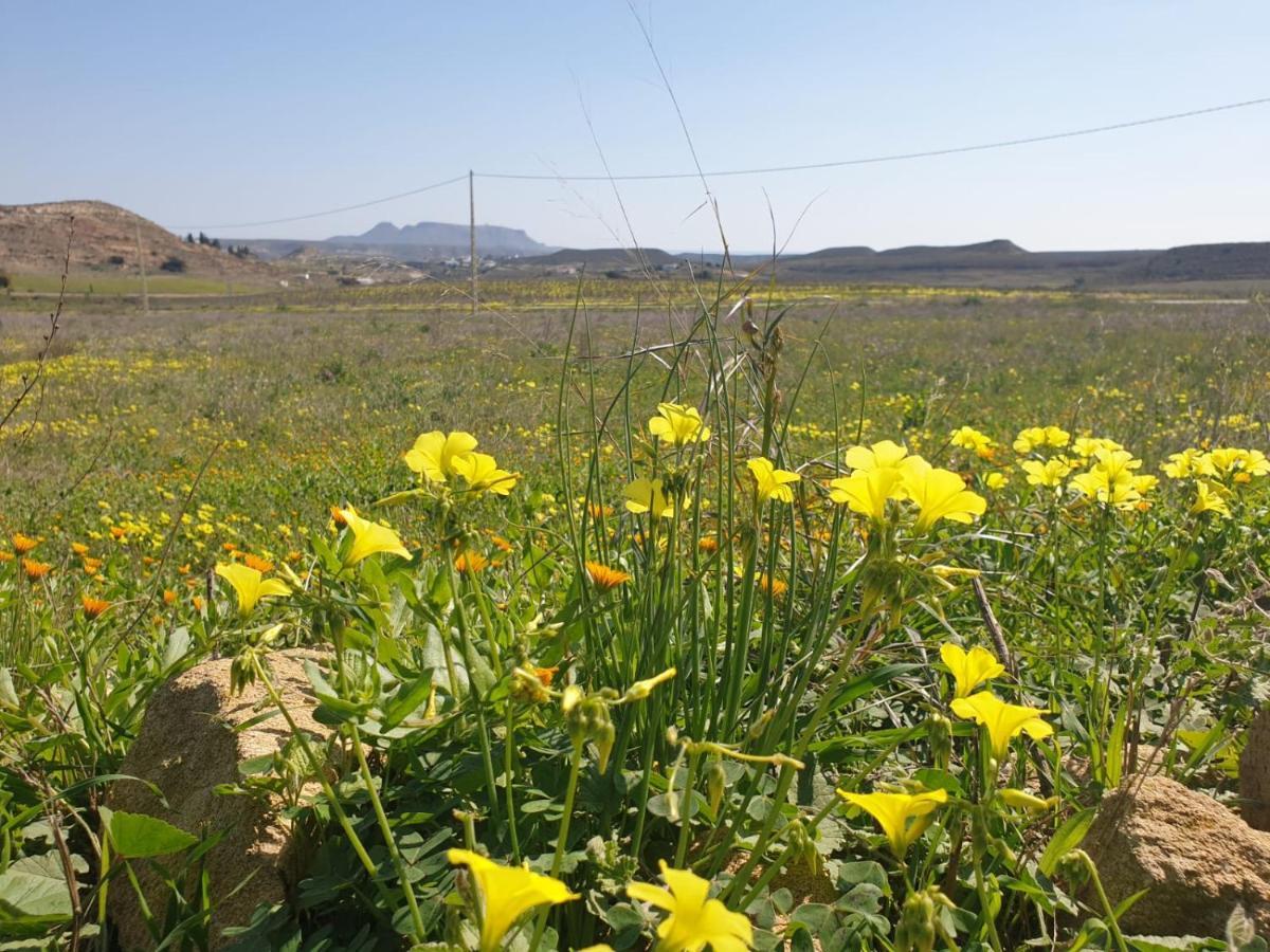 El Molino De Arriba Villa Níjar Buitenkant foto