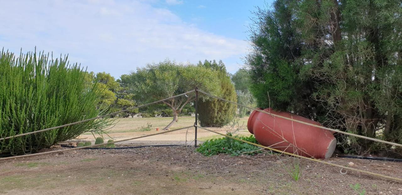 El Molino De Arriba Villa Níjar Buitenkant foto