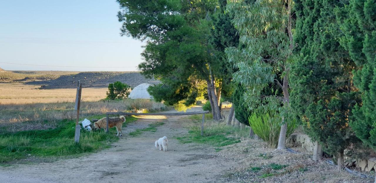 El Molino De Arriba Villa Níjar Buitenkant foto