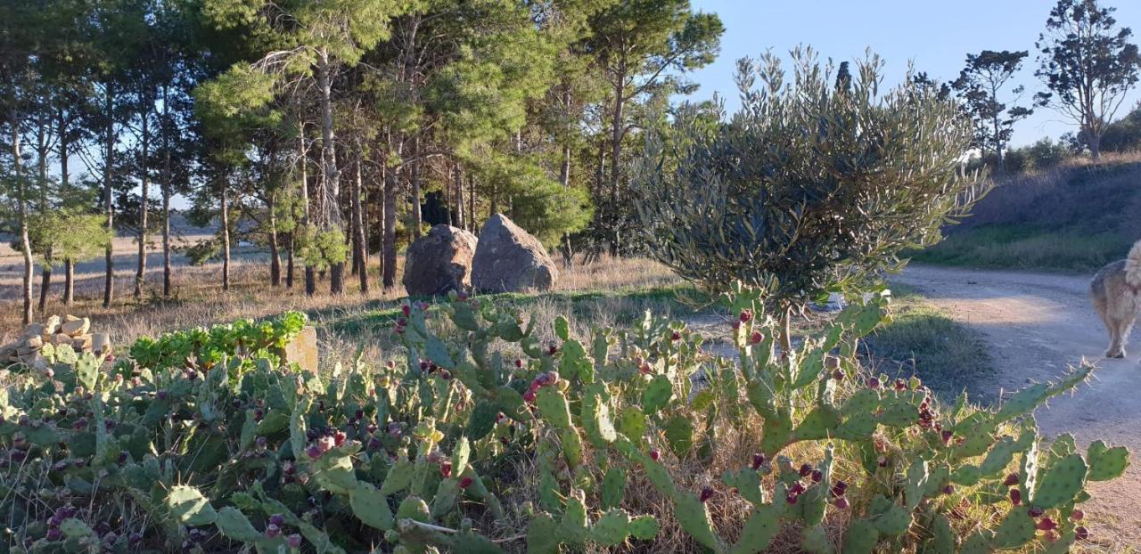 El Molino De Arriba Villa Níjar Buitenkant foto