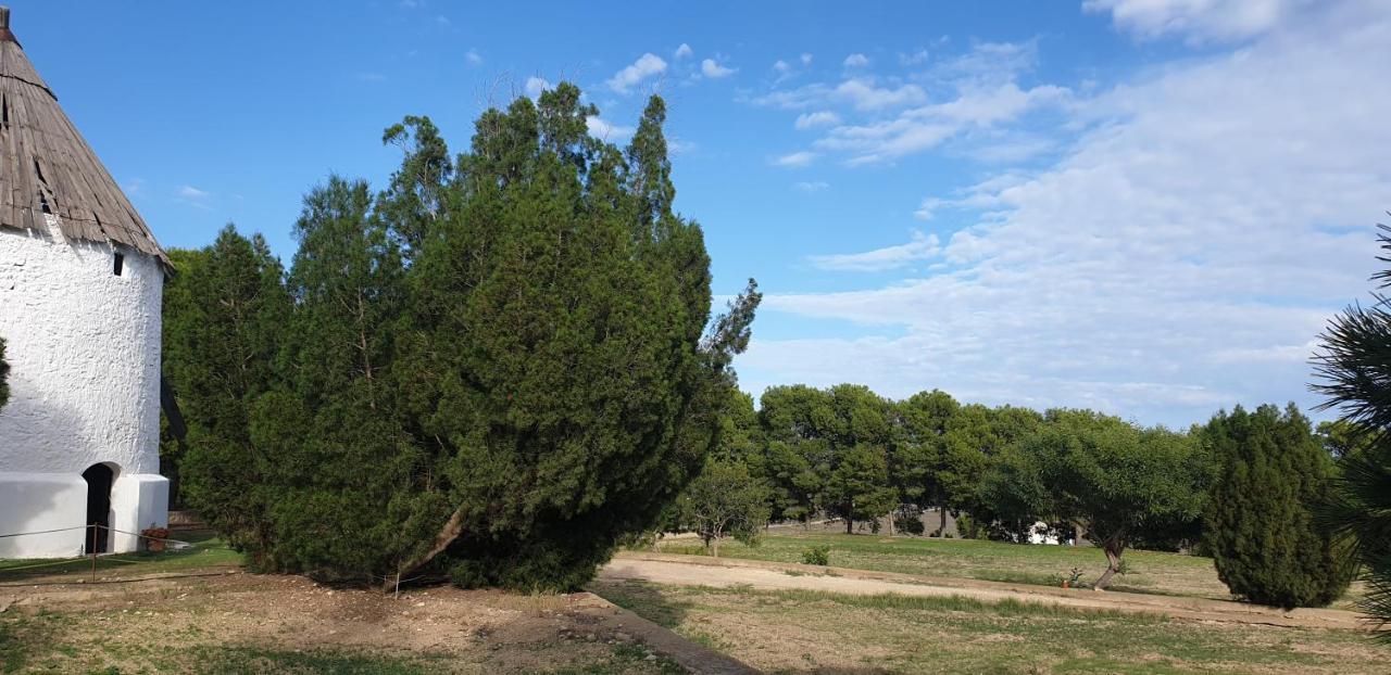 El Molino De Arriba Villa Níjar Buitenkant foto